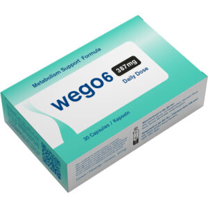 Wego6